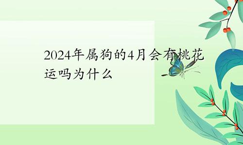 2024年属狗的4月会有桃花运吗为什么