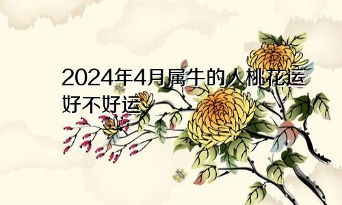 2024年4月属牛的人桃花运好不好运