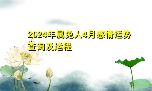 2024年属兔人4月感情运势查询及运程