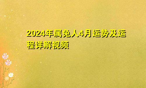 2024年属兔人4月运势及运程详解视频