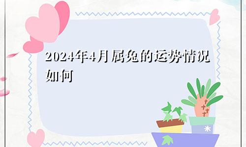 2024年4月属兔的运势情况如何
