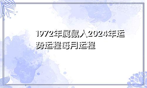 1972年属鼠人2024年运势运程每月运程