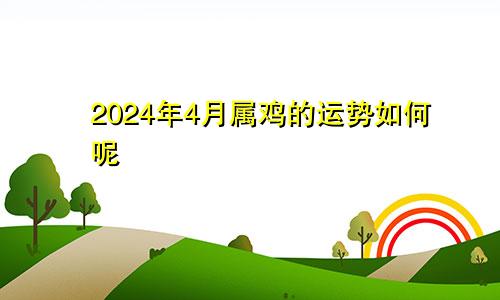 2024年4月属鸡的运势如何呢