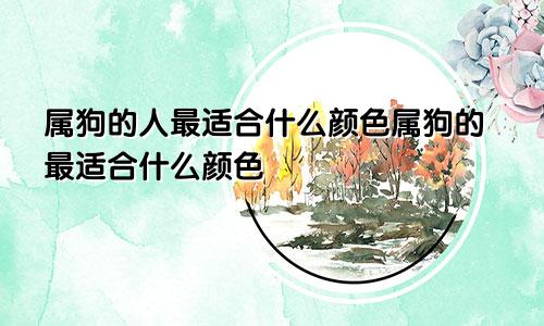 属狗的人最适合什么颜色属狗的最适合什么颜色