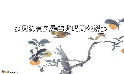 梦见脚有虫是吉兆吗周公解梦