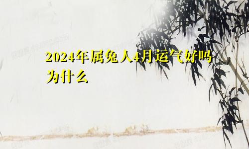 2024年属兔人4月运气好吗为什么