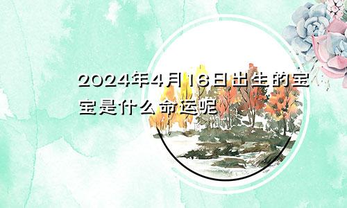 2024年4月16日出生的宝宝是什么命运呢