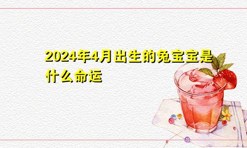 2024年4月出生的兔宝宝是什么命运