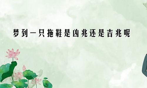 梦到一只拖鞋是凶兆还是吉兆呢