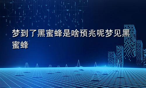 梦到了黑蜜蜂是啥预兆呢梦见黑蜜蜂