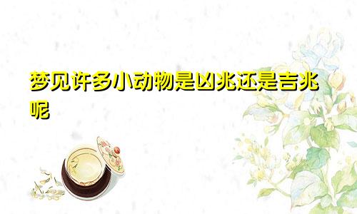 梦见许多小动物是凶兆还是吉兆呢