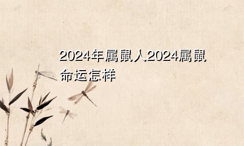2024年属鼠人2024属鼠命运怎样