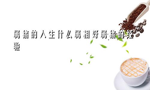 属猪的人生什么属相好属猪的经验