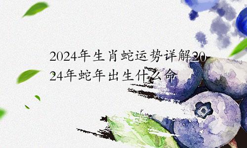 2024年生肖蛇运势详解2024年蛇年出生什么命