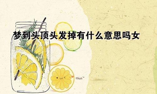 梦到头顶头发掉有什么意思吗女