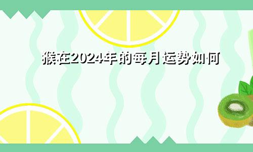 猴在2024年的每月运势如何