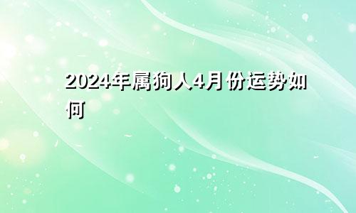 2024年属狗人4月份运势如何