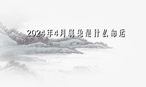 2024年4月属兔是什么命运