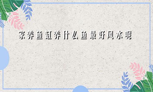 家养鱼缸养什么鱼最好风水呢