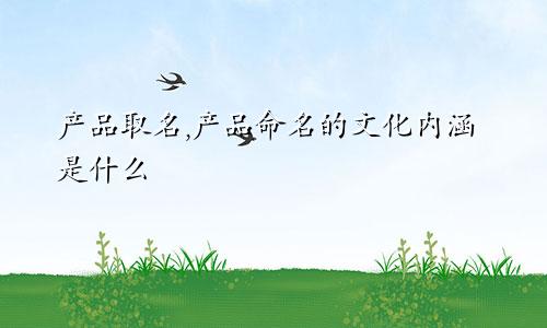 产品取名,产品命名的文化内涵是什么