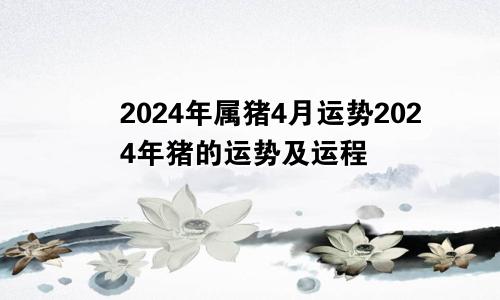 2024年属猪4月运势2024年猪的运势及运程