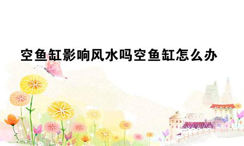 空鱼缸影响风水吗空鱼缸怎么办