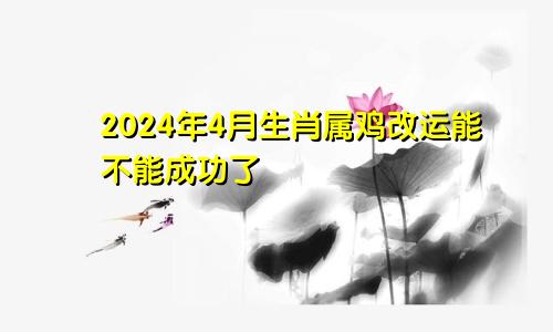 2024年4月生肖属鸡改运能不能成功了