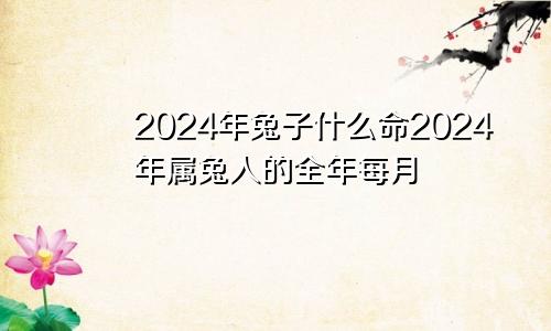 2024年兔子什么命2024年属兔人的全年每月