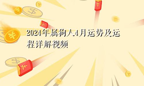 2024年属狗人4月运势及运程详解视频