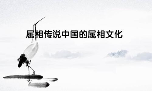 属相传说中国的属相文化