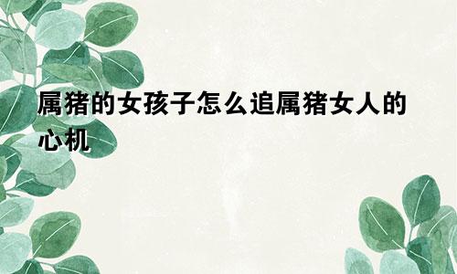 属猪的女孩子怎么追属猪女人的心机