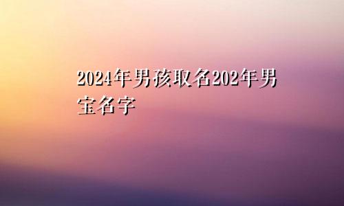 2024年男孩取名202年男宝名字
