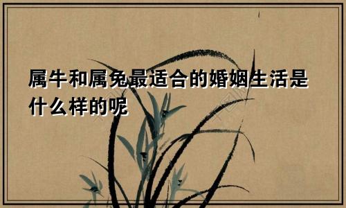 属牛和属兔最适合的婚姻生活是什么样的呢
