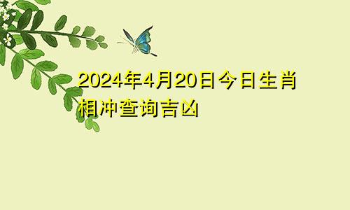 2024年4月20日今日生肖相冲查询吉凶