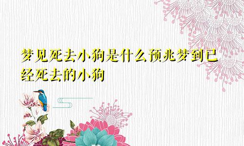 梦见死去小狗是什么预兆梦到已经死去的小狗