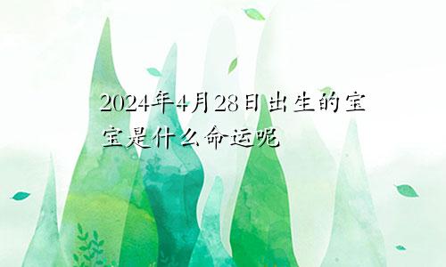 2024年4月28日出生的宝宝是什么命运呢
