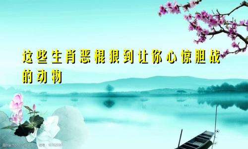 这些生肖恶棍狠到让你心惊胆战的动物