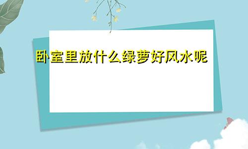 卧室里放什么绿萝好风水呢