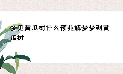 梦见黄瓜树什么预兆解梦梦到黄瓜树