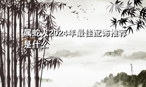 属蛇人2024年最佳配饰推荐是什么