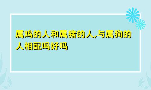 属鸡的人和属猪的人,与属狗的人相配吗好吗