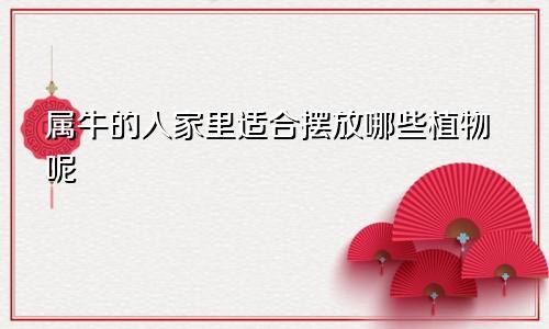 属牛的人家里适合摆放哪些植物呢