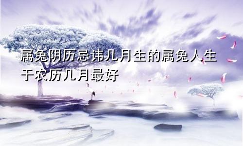 属兔阴历忌讳几月生的属兔人生于农历几月最好