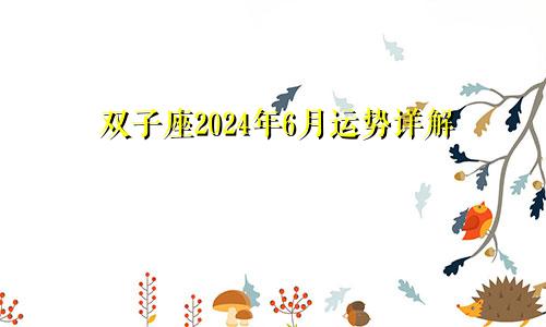 双子座2024年6月运势详解