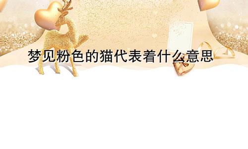 梦见粉色的猫代表着什么意思