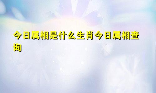 今日属相是什么生肖今日属相查询