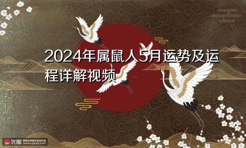 2024年属鼠人5月运势及运程详解视频