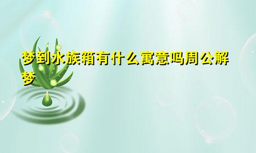 梦到水族箱有什么寓意吗周公解梦