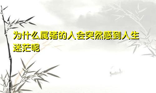 为什么属猪的人会突然感到人生迷茫呢