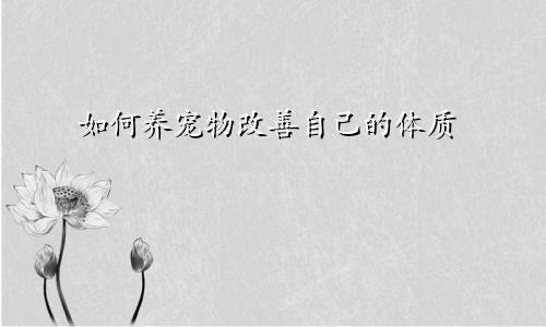 如何养宠物改善自己的体质